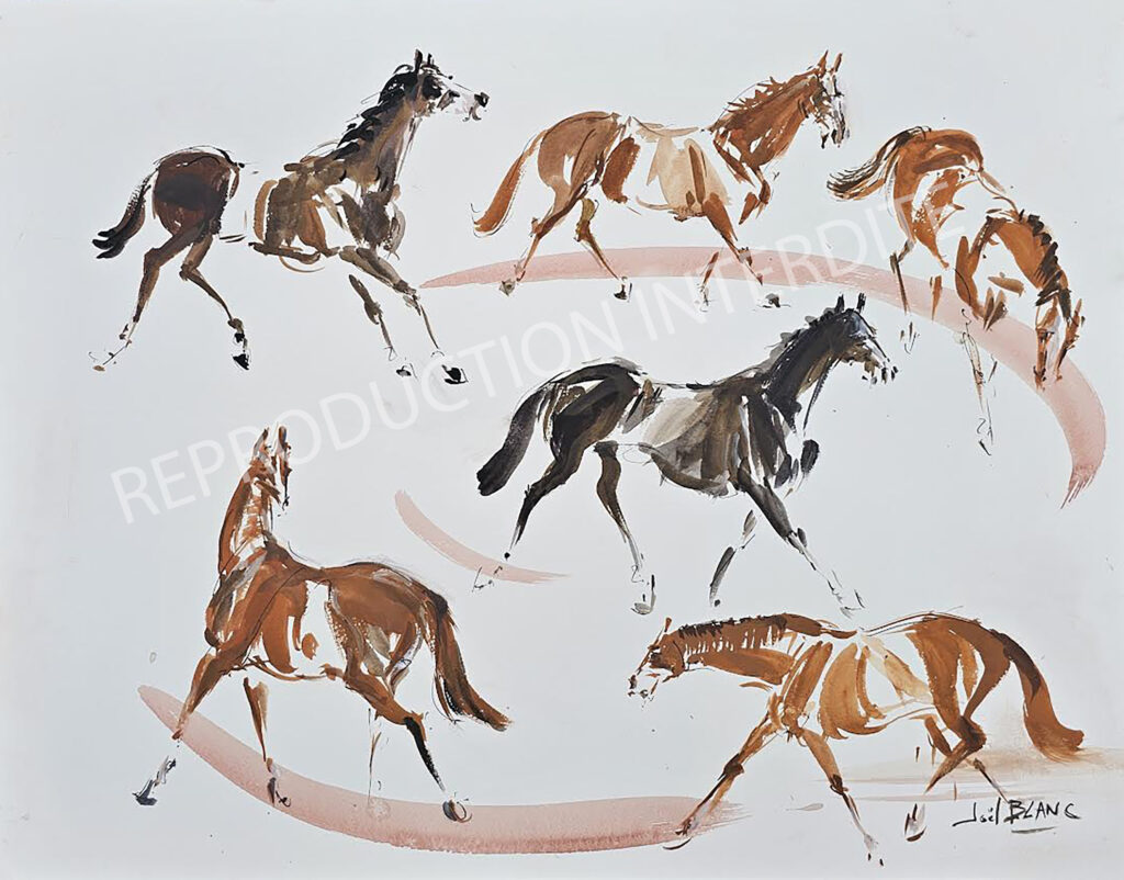 C'est sur le rond de presentation des. yearling que mon oeil mon regard et ma main se refait une vision plus neuve des chevaux .. un peu comme si j'allais au musée
