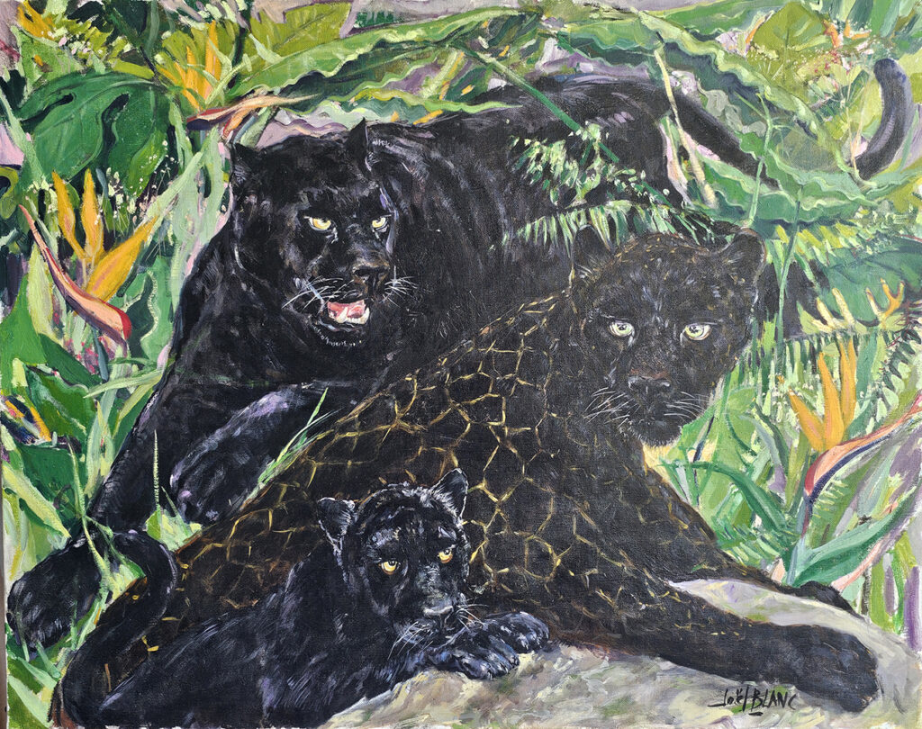 UNE FAMILLE DE PANTHÈRES NOIRES